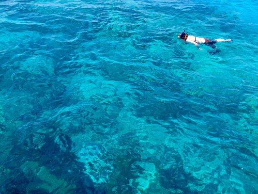 Looe Key snorkeling