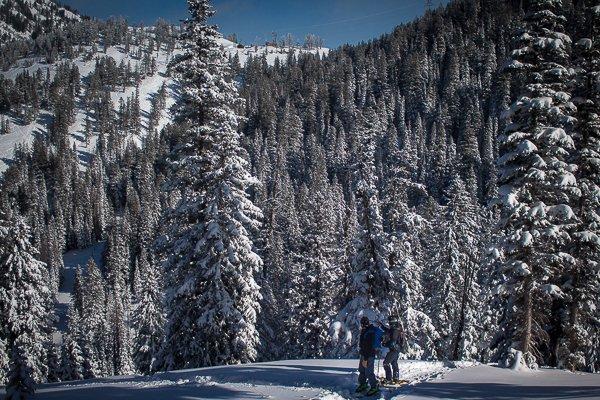 Splitboarding