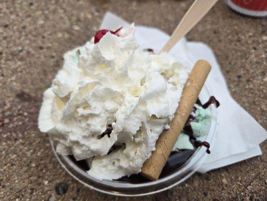 One scoop (!) Mint chocolate chip, fudge, whipped cream