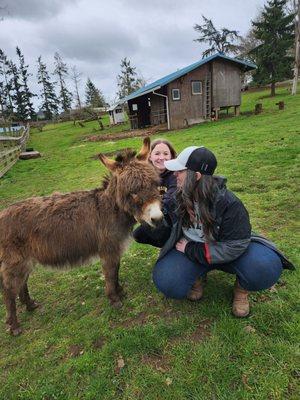 Donkey whispers