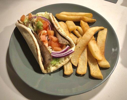 Gyro and Fries. (on my plate from home)