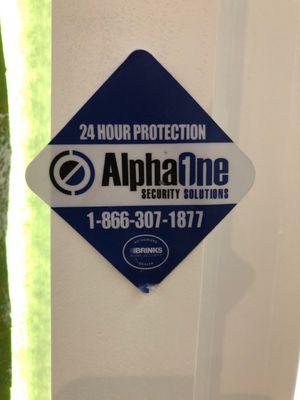 Alpha one security solutions vandalizing Boca Raton store fronts with their gorilla marketing techniques