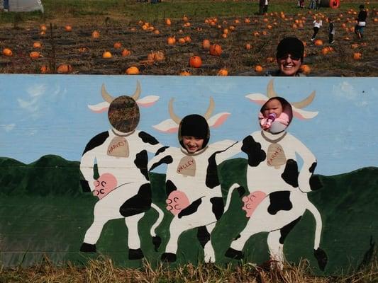 In front of the pumpkin patch.