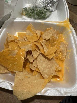 Watered down cheese with chip and they forgot the sour cream