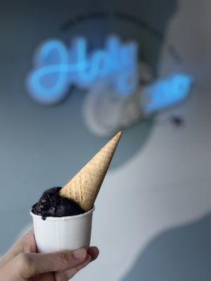 Vegan Chocolate Sorbet with a Sugar Cone