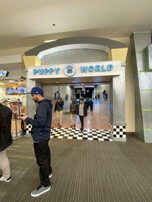 Entrance of Puppy World