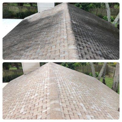 A power washing job we did without hurting the roofing granules. We are certified in soft wash pressure cleaning techniques