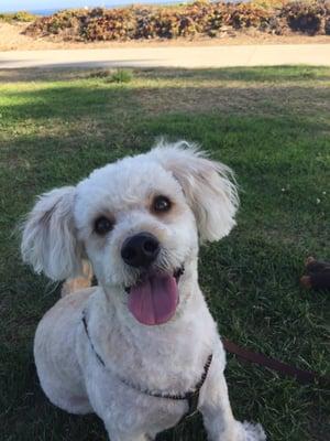 At the beach showing off his new do!!