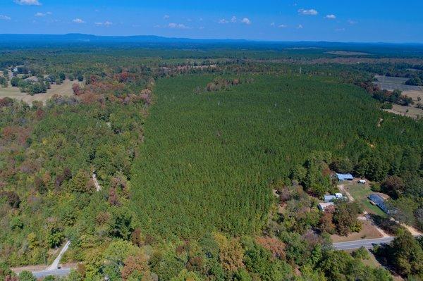 Hwy 40, Wilsonville, AL-Shelby County, Perfect development tract 74 acres