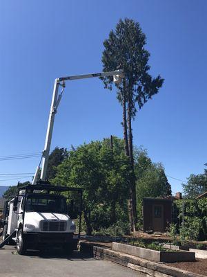 Eric's Tree Service, LLC