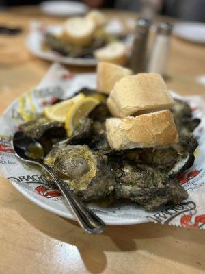 Chargrilled oysters