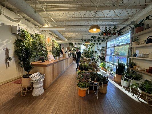 A beautiful connected plant store with a coffee counter that serves amazing cappuccino's!  They have decaf too for late in the day fixes -