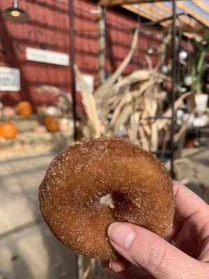 Apple cider donuts hot and fresh