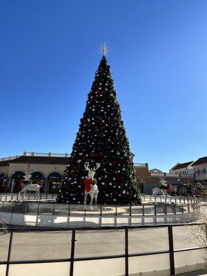 Christmas Tree is up