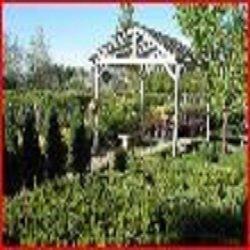 CREEKSIDE GARDEN CENTER