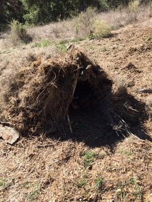 Shelter we built