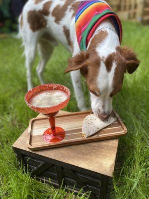 Atlanta Pet Resort - Marietta