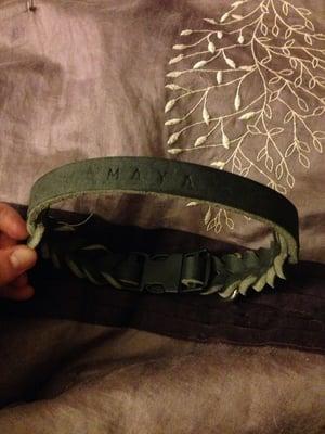 A really nice collar her trainer made for her :-)