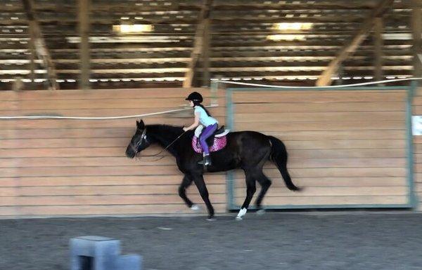 Aleya Tarver Horsemanship