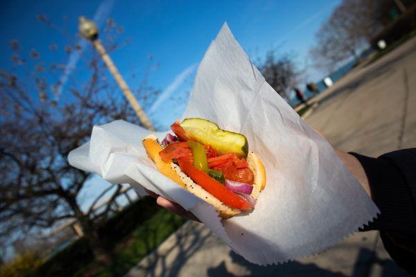 Chicago hot dog