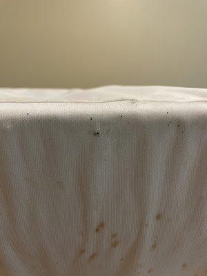 Bed bug fecal