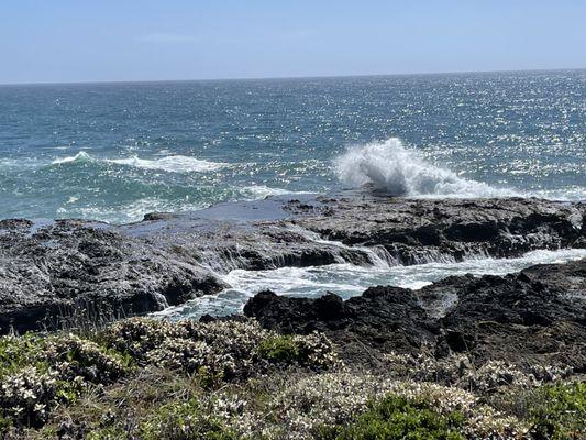 Wine with ocean, what more could you want?