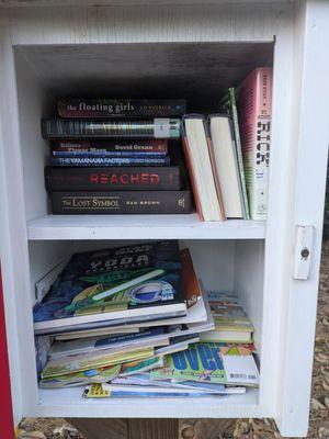 Raeburn Little Free Library, 12049 Parks Farm Ln, Charlotte