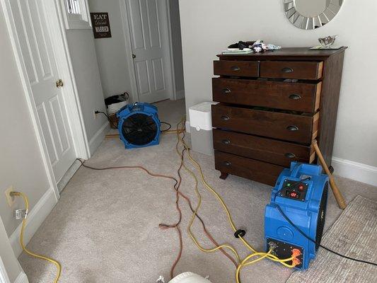 Bed Bug Heat Treatment