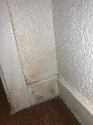 Water damage