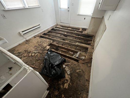 Replacing kitchen subfloor