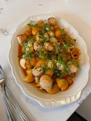 Scallop Pasta