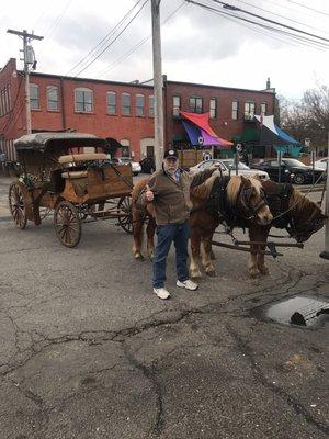 Horse Carriage Ride in front of Piney Bay coffee in Clarksville Arkansas HarpinHank Hogan with the small carriage horses (Australian)