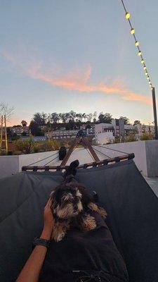 Chilling on the rooftop hammock