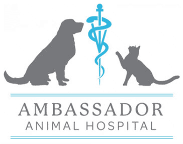 Ambassador Animal Hospital