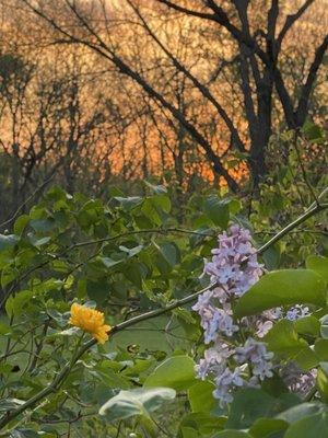 Gather At Red Cedar Gardens