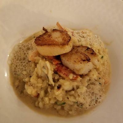 Day Boat Scallops risotto