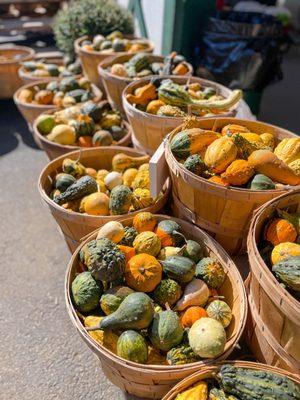 Colorful gourds