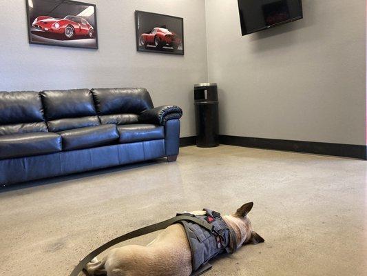 When your highly trained service Dog can relax in the waiting room, you're doing something right. No noise, comfortable af.