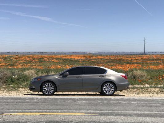 2014 Acura RLX