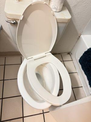 Loose toilet seat