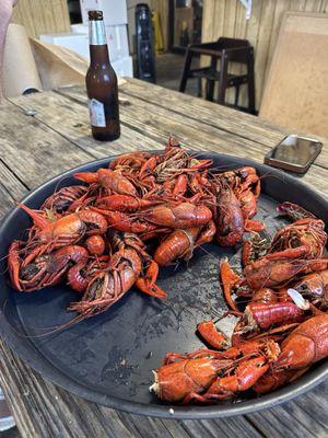 Boiled Crawfish!