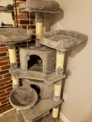 Cat condo deemed "too dirty" that is like new condition, they refused to move it.