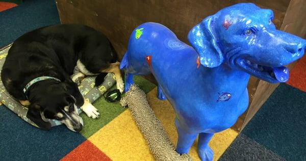 Blue Dog and Scout