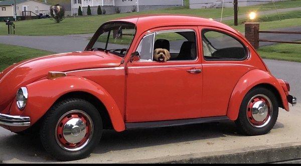 A happy lil boy glad to be traveling in his VW repaired at HRS Nicholasville Ky