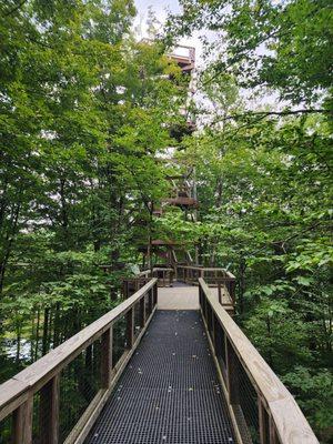 The Forest Canopy Walk