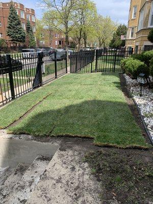 Sod Installation