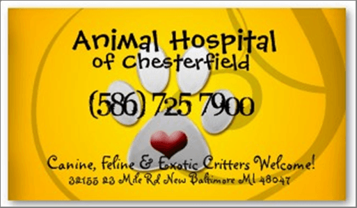 Animal Hospital of Chesterfield