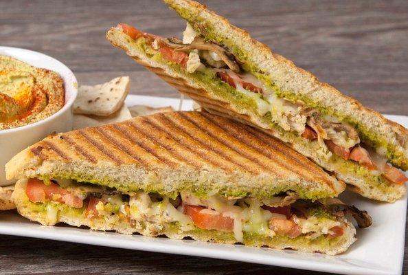 Chicken, Mushroom, Mozzarella, Tomato with House Made Pesto PANINI