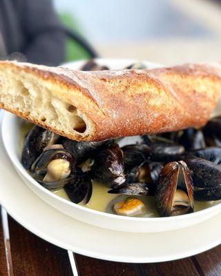 Mussels