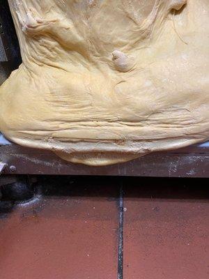 the doughnut dough